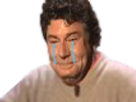 https://image.noelshack.com/fichiers/2019/05/4/1548971555-1506176861-jesus-pleure.png