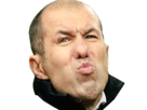 https://image.noelshack.com/fichiers/2019/05/7/1549187654-jardimface.png