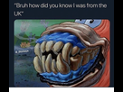 https://image.noelshack.com/fichiers/2019/05/7/1549208752-bruh-how-did-you-know-l-was-from-the-uk-39124657.png