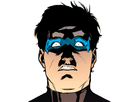 https://image.noelshack.com/fichiers/2019/06/2/1549324552-nightwingstickerface.png