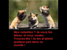 https://image.noelshack.com/fichiers/2019/06/2/1549397843-medium-animaux-img-droles-14.jpg