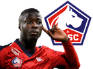 https://image.noelshack.com/fichiers/2019/06/3/1549472198-lille-pepe.png