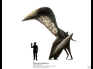 https://image.noelshack.com/fichiers/2019/06/3/1549478351-hatzegopteryx-by-prehistorybyliam-dcrnjlc-pre.jpg
