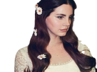 https://image.noelshack.com/fichiers/2019/06/6/1549709590-lana-daisy.png