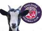 https://image.noelshack.com/fichiers/2019/07/1/1549879403-chevre-tfc.jpg