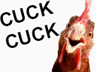 https://image.noelshack.com/fichiers/2019/07/1/1549907532-22843-full.png