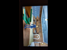 https://image.noelshack.com/fichiers/2019/07/2/1549995988-20190212-192432.jpg