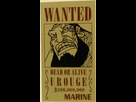 https://image.noelshack.com/fichiers/2019/07/4/1550140496-urouge-avis-de-recherche-1.png