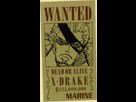 https://image.noelshack.com/fichiers/2019/07/4/1550140512-x-drake-avis-de-recherche.png