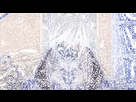 https://image.noelshack.com/fichiers/2019/07/5/1550239717-tumblr-mtjyi498wu1rlz5cto3-r5-400.gif
