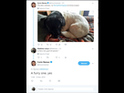 https://image.noelshack.com/fichiers/2019/07/6/1550344036-capture.jpg