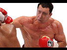 https://image.noelshack.com/fichiers/2019/07/7/1550401532-henry-de-lesquen-boxeur.png
