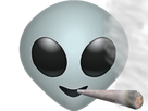https://image.noelshack.com/fichiers/2019/07/7/1550442461-alienweedleandoer.png
