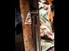 Identification crosse mauser 71/84 ou 1887 1550471752-20190216-194935