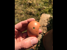Oeuf à 100m en .177 1550577165-057576a7-fbe6-4a43-ac8f-ffd6f80f261f