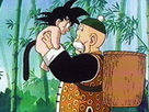 https://www.noelshack.com/2019-08-3-1550637639-guia-dragonball-gokutail.jpg