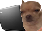 https://image.noelshack.com/fichiers/2019/08/3/1550691568-7390-thumb.png