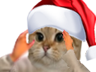 https://image.noelshack.com/fichiers/2019/08/5/1550848575-110088-full.png