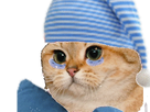 https://image.noelshack.com/fichiers/2019/08/5/1550856633-62080-full.png