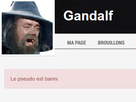 https://image.noelshack.com/fichiers/2019/08/6/1550941918-gandalf-banni.png