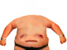 https://image.noelshack.com/fichiers/2019/08/6/1550952664-1526332621-1526275970-vooiohuivipo-p.png