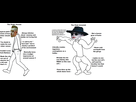 https://image.noelshack.com/fichiers/2019/08/7/1551007800-78he2y2kmgw012.png