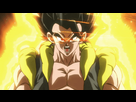 https://image.noelshack.com/fichiers/2019/08/7/1551034236-dbs-broly-gogeta-base-form.gif