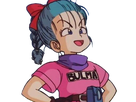 https://image.noelshack.com/fichiers/2019/09/1/1551052430-bulma-chan-fiere-representante-de-l-alliance-kjovalidaient.png