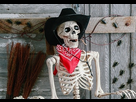 https://image.noelshack.com/fichiers/2019/09/4/1551365468-cowboy-skeleton-scene.jpg