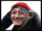 https://image.noelshack.com/minis/2019/09/4/1551389788-singecousteau.png