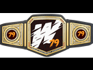 https://www.noelshack.com/2019-09-7-1551650930-79w-heavyweight-championship-png.png
