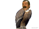 https://image.noelshack.com/fichiers/2019/10/1/1551721517-ef9815f4-9b1f-4818-b343-a86ee9377b73.png