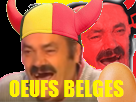 https://image.noelshack.com/fichiers/2019/10/2/1551787594-belgixoeuf1drapeau.png