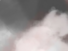 https://image.noelshack.com/fichiers/2019/10/3/1551828742-9-8j1y7l1y.png