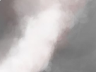 https://image.noelshack.com/fichiers/2019/10/3/1551828743-72-8j1y7l1y.png