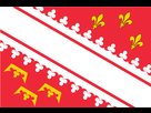 https://image.noelshack.com/fichiers/2019/10/3/1551861514-drapeau-alsace.png