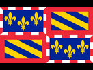 https://image.noelshack.com/fichiers/2019/10/3/1551863060-drapeau-bourgogne.png