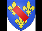 https://image.noelshack.com/fichiers/2019/10/3/1551890471-545px-blason-pays-fr-dombes-svg2.png