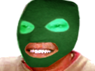 https://image.noelshack.com/minis/2019/10/4/1551960010-cagoulverbama.png