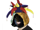 https://image.noelshack.com/fichiers/2019/10/5/1552051872-fh-sp-bouffon.png