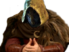 https://image.noelshack.com/fichiers/2019/10/5/1552054666-fh-sp-kamelott.png