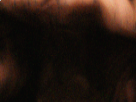 https://image.noelshack.com/fichiers/2019/10/6/1552088291-11-w75h2ku0.png