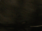 https://image.noelshack.com/fichiers/2019/10/6/1552088291-32-w75h2ku0.png