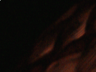 https://image.noelshack.com/fichiers/2019/10/6/1552088291-33-w75h2ku0.png