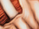 https://image.noelshack.com/fichiers/2019/10/6/1552088291-35-w75h2ku0.png