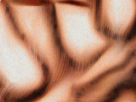 https://image.noelshack.com/fichiers/2019/10/6/1552088291-36-w75h2ku0.png