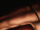 https://image.noelshack.com/fichiers/2019/10/6/1552088291-9-w75h2ku0.png