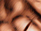 https://image.noelshack.com/fichiers/2019/10/6/1552088292-42-w75h2ku0.png