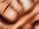 https://image.noelshack.com/fichiers/2019/10/6/1552088292-43-w75h2ku0.png