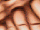 https://image.noelshack.com/fichiers/2019/10/6/1552088292-44-w75h2ku0.png